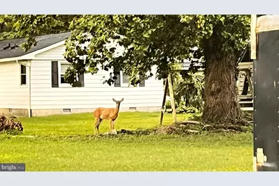 201 Buena Vista Avenue, Cambridge, MD 21613 - Photo 17