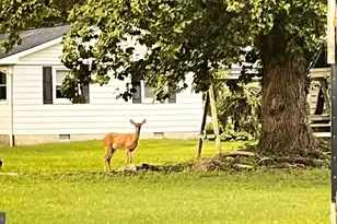 201 Buena Vista Ave, Cambridge, MD 21613 - Photo 73