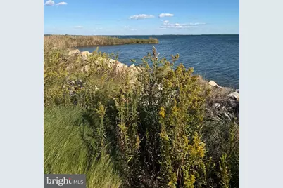 1631 Steamboat Wharf, Fishing Creek, MD 21634 - Photo 1