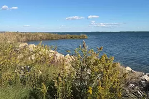 1631 Steamboat Wharf, Fishing Creek, MD 21634 - Photo 1