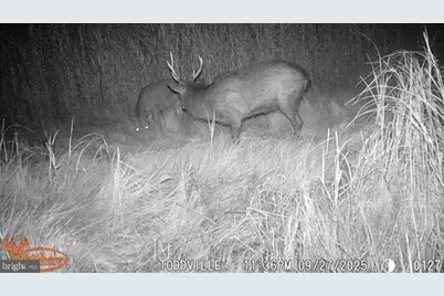 2703 Toddville Road, Toddville, MD 21672 - Photo 5