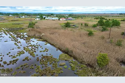 2703 Toddville Road, Toddville, MD 21672 - Photo 9