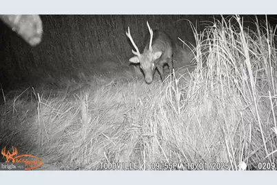 2703 Toddville Road, Toddville, MD 21672 - Photo 23