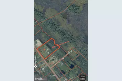 2726 Toddville Road, Toddville, MD 21672 - Photo 13