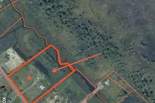 2726 Toddville Rd, Toddville, MD 21672 - Photo 13