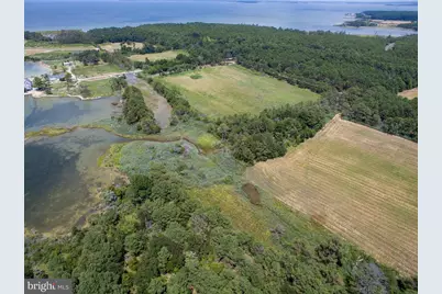 Hoopers Neck Road, Taylors Island, MD 21669 - Photo 13