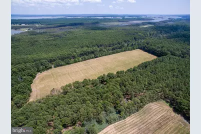 Hoopers Neck Road, Taylors Island, MD 21669 - Photo 9