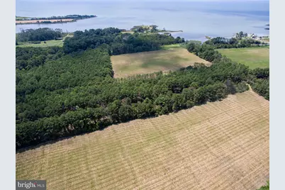 Hoopers Neck Road, Taylors Island, MD 21669 - Photo 1