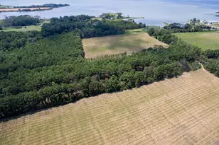 Hoopers Neck Rd, Taylors Island, MD 21669 - Photo 1