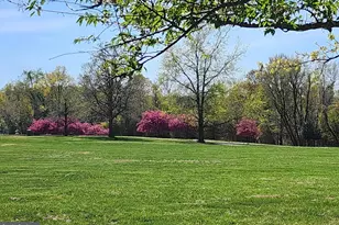 2707 Marsh Elder Dr, Cambridge, MD 21613 - Photo 39