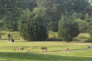 2707 Marsh Elder Dr, Cambridge, MD 21613 - Photo 45