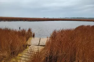 3241 Robbins Rd, Crapo, MD 21626 - Photo 9