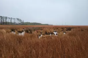 3241 Robbins Rd, Crapo, MD 21626 - Photo 15