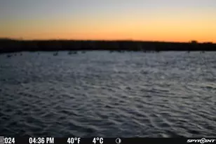 3241 Robbins Rd, Crapo, MD 21626 - Photo 33