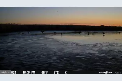 3241 Robbins Road, Crapo, MD 21626 - Photo 35