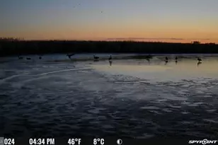 3241 Robbins Rd, Crapo, MD 21626 - Photo 35