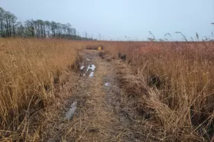 3241 Robbins Rd, Crapo, MD 21626 - Photo 5