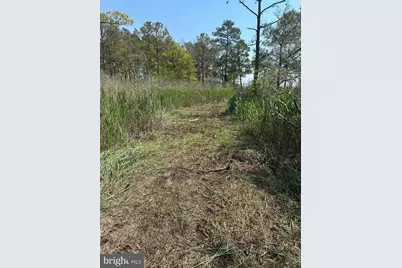 3241 Robbins Road, Crapo, MD 21626 - Photo 45
