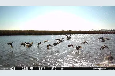 3241 Robbins Road, Crapo, MD 21626 - Photo 1