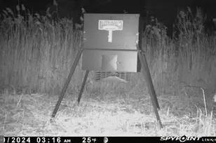 3241 Robbins Rd, Crapo, MD 21626 - Photo 31