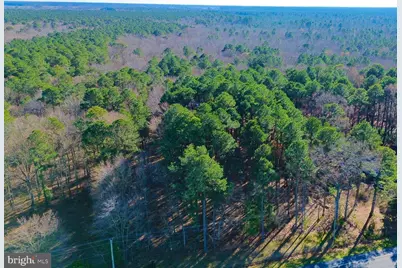 Sika, Whitetail & Turkey Church Creek Rd, Cambridge, MD 21613 - Photo 27