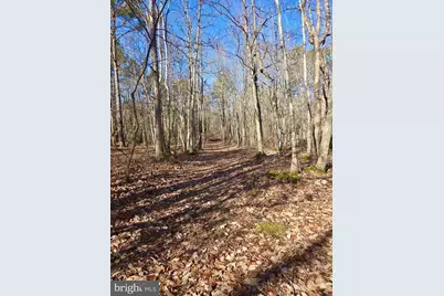 Sika, Whitetail & Turkey Church Creek Rd, Cambridge, MD 21613 - Photo 23