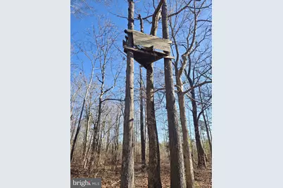 Sika, Whitetail & Turkey Church Creek Rd, Cambridge, MD 21613 - Photo 25