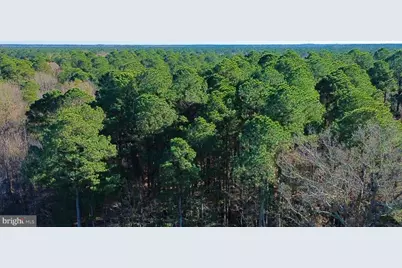 Sika, Whitetail & Turkey Church Creek Rd, Cambridge, MD 21613 - Photo 29