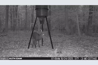 4424 Hoopers Neck Road, Taylors Island, MD 21669 - Photo 5