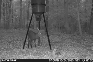 4424 Hoopers Neck Rd, Taylors Island, MD 21669 - Photo 5