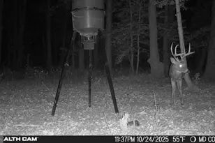 4424 Hoopers Neck Rd, Taylors Island, MD 21669 - Photo 7