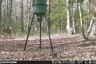 4424 Hoopers Neck Rd, Taylors Island, MD 21669 - Photo 11