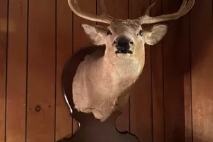 2728 Sandy Is Rd, Crapo, MD 21626 - Photo 15