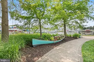 900 Marshy Cv, Cambridge, MD 21613 - Photo 13