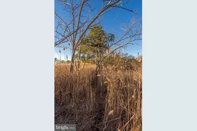 3819 Maple Dam Road, Cambridge, MD 21613 - Photo 61