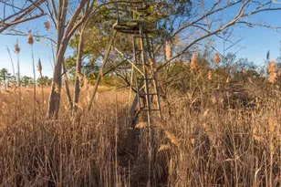 3819 Maple Dam Rd, Cambridge, MD 21613 - Photo 61