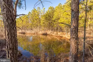 3819 Maple Dam Rd, Cambridge, MD 21613 - Photo 49