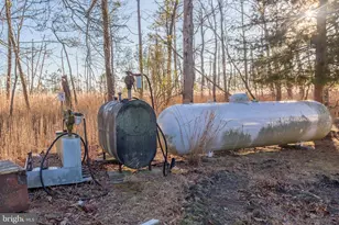 3819 Maple Dam Rd, Cambridge, MD 21613 - Photo 79