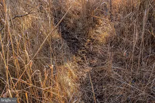 3819 Maple Dam Rd, Cambridge, MD 21613 - Photo 55