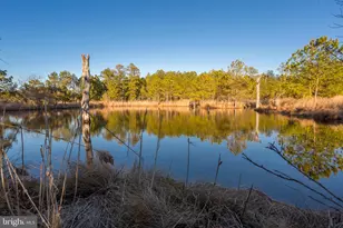 3819 Maple Dam Rd, Cambridge, MD 21613 - Photo 57