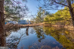 3819 Maple Dam Rd, Cambridge, MD 21613 - Photo 77