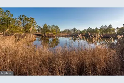 3819 Maple Dam Road, Cambridge, MD 21613 - Photo 53