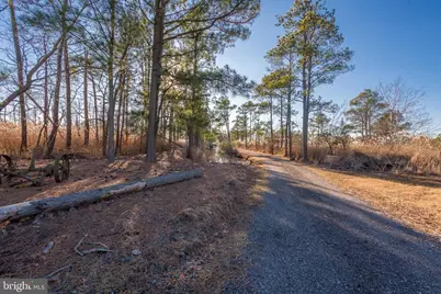 3819 Maple Dam Road, Cambridge, MD 21613 - Photo 45