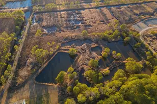 3819 Maple Dam Rd, Cambridge, MD 21613 - Photo 67