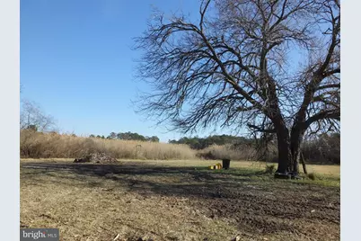 1213 Horse Point Road, Fishing Creek, MD 21634 - Photo 3