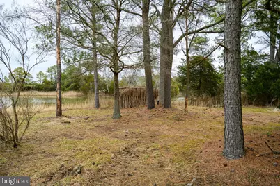 5211 Heron Road, Cambridge, MD 21613 - Photo 53