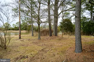 5211 Heron Rd, Cambridge, MD 21613 - Photo 53