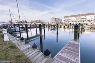 900 Marshy Cv, Cambridge, MD 21613 - Photo 47