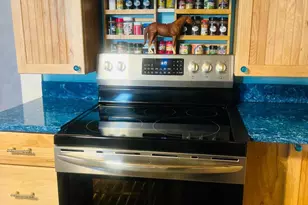 1511 Crocheron Rd, Toddville, MD 21672 - Photo 5