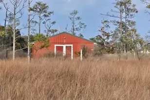 1511 Crocheron Rd, Toddville, MD 21672 - Photo 33